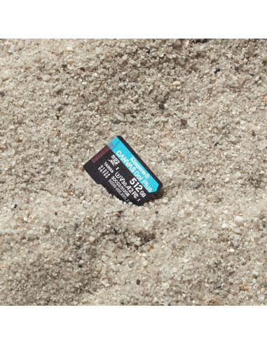 Kingston Microsdxc Canvas Go Plus 512Gb + Adapter