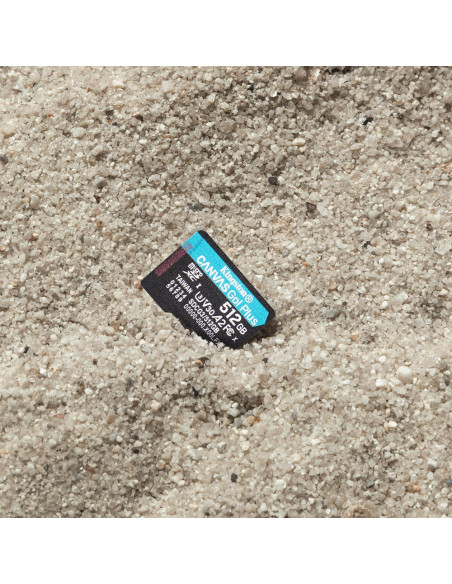 Kingston Microsdxc Canvas Go Plus 512Gb + Adapter