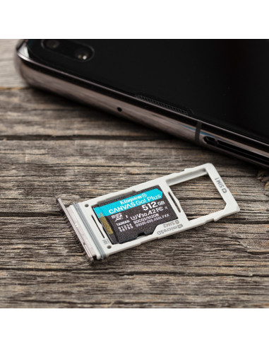 Kingston Microsdxc Canvas Go Plus 512Gb + Adapter