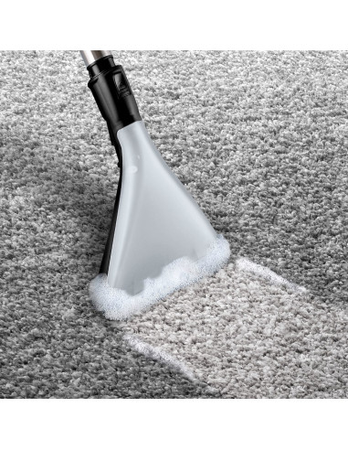 Odkurzacz Bosch Bwd 421 Pet Aquawash&Clean