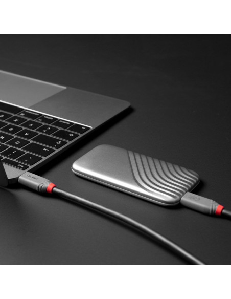 Lindy 36956 Kabel Usb Usb4 Gen 3X2 0,8 M Usb C Czarny
