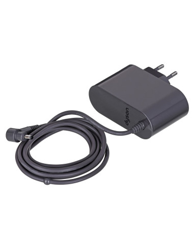Odkurzacz Dyson Washg1