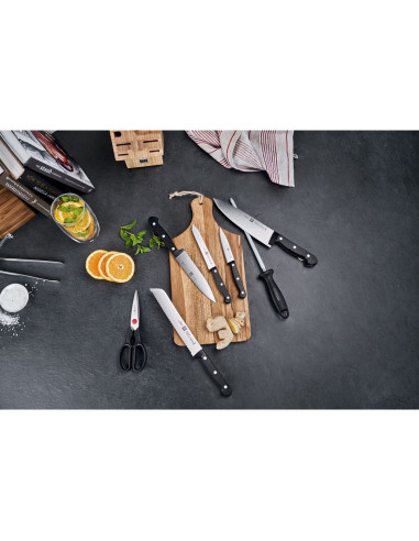 Zestaw 5 Noży W Bloku Zwilling Twin Chef