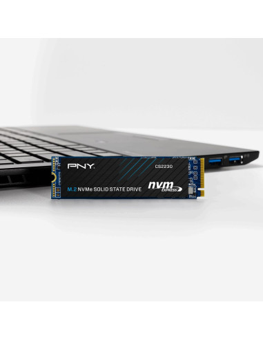 Pny Cs2230 M.2 1 Tb Pci Express 3.0 3D Nand Nvme