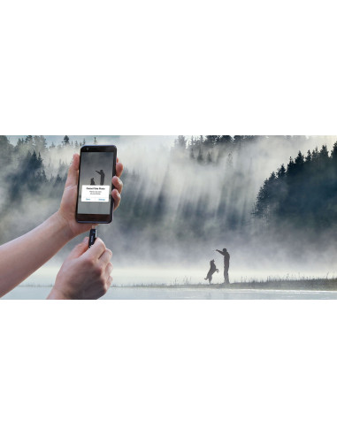 Dysk Sandisk Ultra Dual Drive Go Usb Typ C 512Gb 400Mb/S
