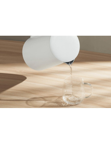 Czajnik Xiaomi Electric Kettle 2 Lite