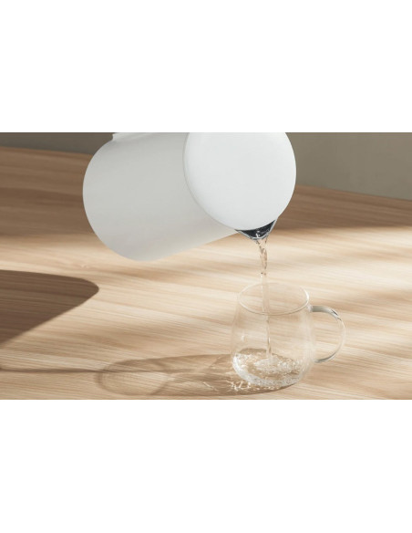 Czajnik Xiaomi Electric Kettle 2 Lite