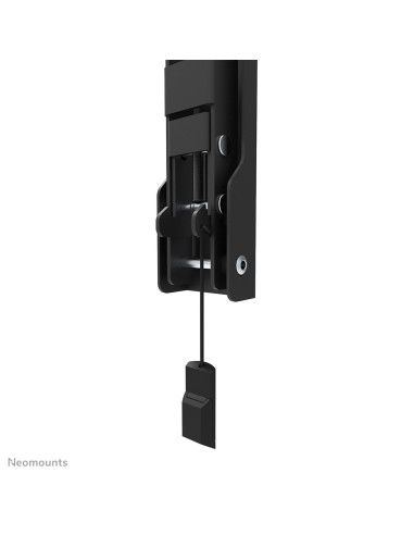 Tv Set Acc Wall Mount/Wl35-550Bl12 Neomounts