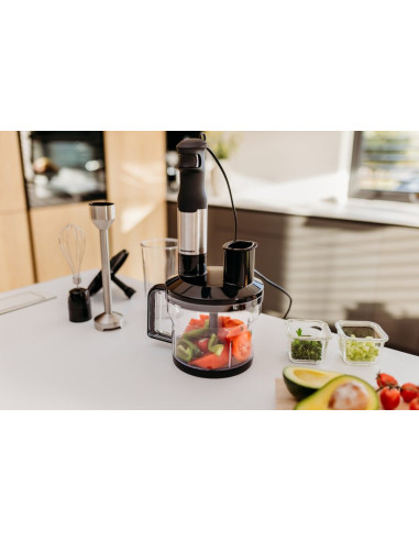 Blender Ręczny Blaupunkt Hbd611 (1200W)