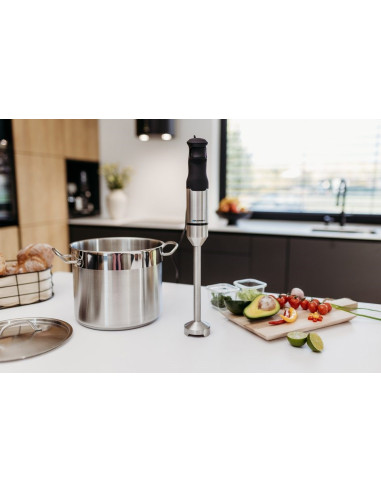 Blender Ręczny Blaupunkt Hbd611 (1200W)