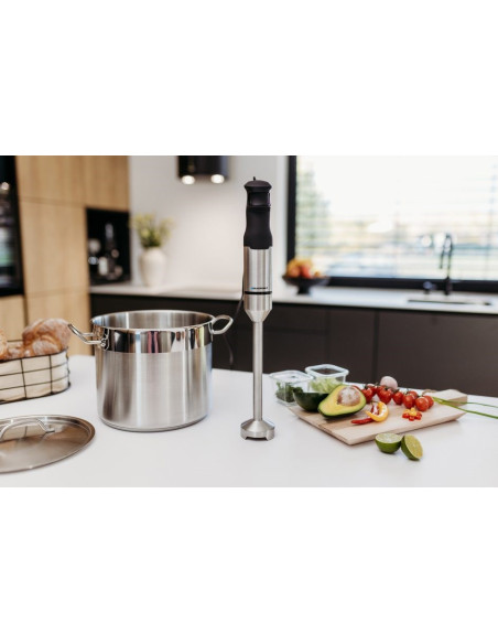 Blender Ręczny Blaupunkt Hbd611 (1200W)