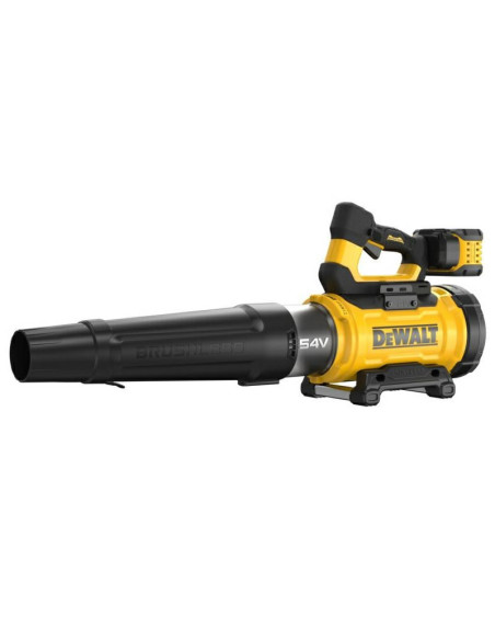 54V Xr Fv Dmuchawa 1X9Ah