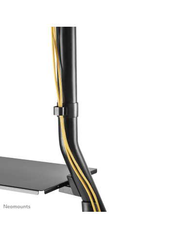 Neomounts Ns-M3800Black Uchwyt / Stojak Do Monitorów 2,54 M (100") Podłoga Czarny