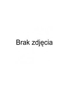 Techly Ica-Lcd 2520V Uchwyt / Stojak Do Monitorów 68,6 Cm (27") Biurko Czarny 2