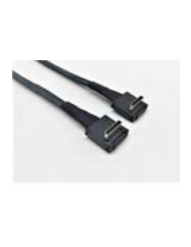 Zestaw Kabli Intel Oculink Cable Kit Axxcbl620Crcr Serial Attached Scsi (Sas) Cable 0.62M Black