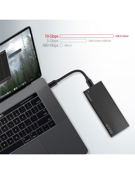Axagon Em2-Gtr Obudowa Ssd Czarny M.2