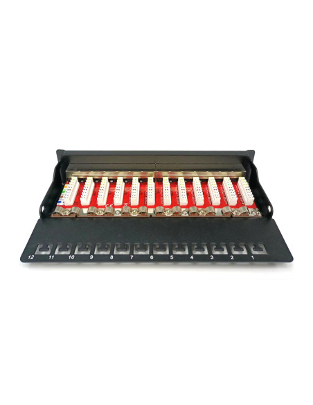 Digitus Panel Krosowy (Patch Panel) Desktop (Biurkowy) 12X Rj45, Lsa Poziom, Kat.6A, Ekranowany, Czarny, Prowadnica Kabli