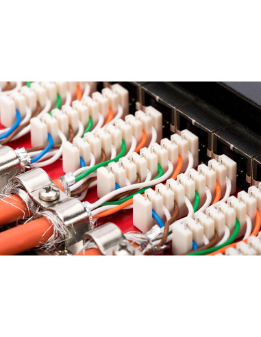 Digitus Panel Krosowy (Patch Panel) Desktop (Biurkowy) 12X Rj45, Lsa Poziom, Kat.6A, Ekranowany, Czarny, Prowadnica Kabli