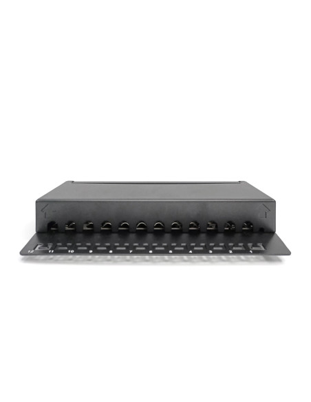 Digitus Panel Krosowy (Patch Panel) Desktop (Biurkowy) 12X Rj45, Lsa Poziom, Kat.6A, Ekranowany, Czarny, Prowadnica Kabli