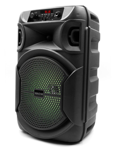 Squeak Głośnik Karaoke Pulsetower Bluetooth 5.3, Radio Fm, Microsd, Aux, Usb Sq1006