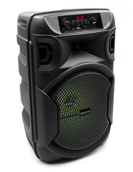 Squeak Głośnik Karaoke Pulsetower Bluetooth 5.3, Radio Fm, Microsd, Aux, Usb Sq1006