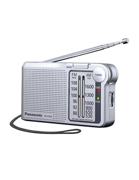Panasonic Rf-P150Deg Przenośny Analogowy Srebrny