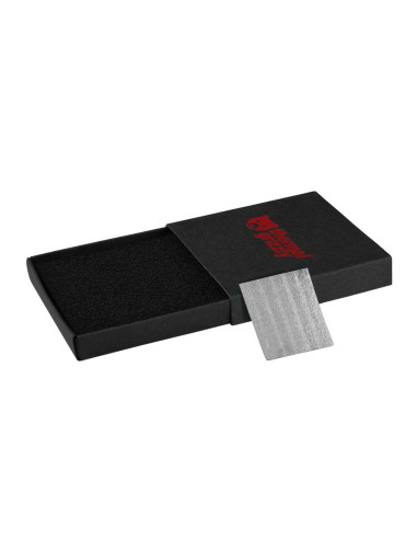 Thermal Grizzly Tg-Ks-29-25 Pasta Termoprzewodząca Podkładka Termiczna