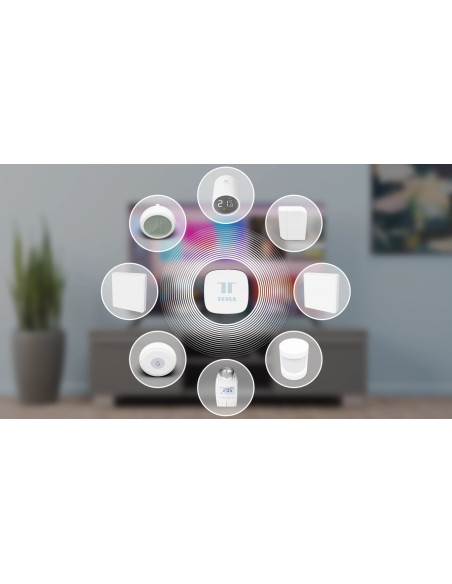 Sterownik Tesla Tsl-Gw-Gt01Zg Smart Zigbee Hub