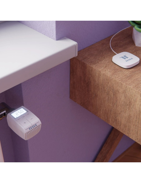 Sterownik Tesla Tsl-Gw-Gt01Zg Smart Zigbee Hub
