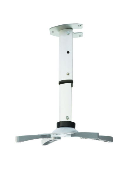 Techly Ica-Pm 102S Uchwyt Do Montażu Projektora Sufit Srebrny