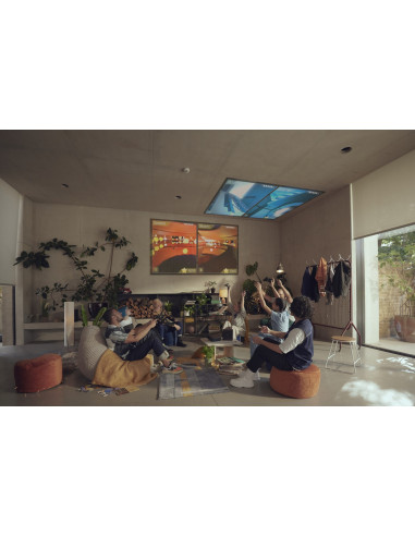 Epson Ef-12