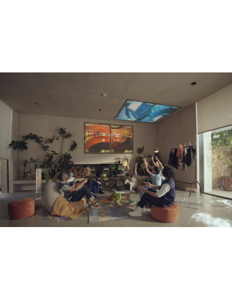 Epson Ef-12