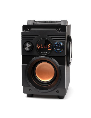 Squeak Głośnik Bassblaster Bluetooth 5.1, Radio Fm, Odtwarzacz Mp3 Sq1001
