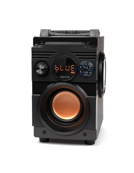 Squeak Głośnik Bassblaster Bluetooth 5.1, Radio Fm, Odtwarzacz Mp3 Sq1001