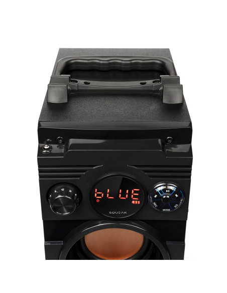 Squeak Głośnik Bassblaster Bluetooth 5.1, Radio Fm, Odtwarzacz Mp3 Sq1001