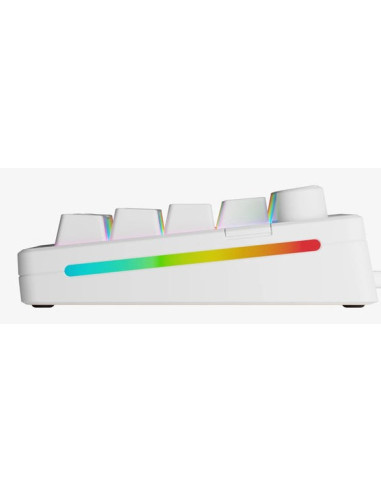 Glorious Pc Gaming Race Gmmk 3 Prebuilt Klawiatura Usb Qwerty Us English Biały