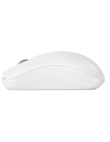 Cherry Jw-T2200-0 Myszka Dom Oburęczny Rf Wireless Optyczny 1300 Dpi