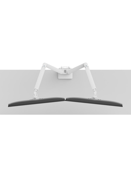 Neomounts Ds70-250Wh2 Uchwyt / Stojak Do Monitorów 81,3 Cm (32") Biurko Biały