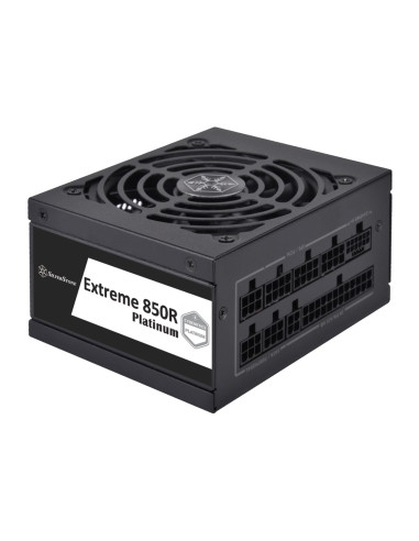 Silverstone Sst-Ex850R-Pm Moduł Zasilaczy 850 W 20-Pin Atx Sfx Czarny