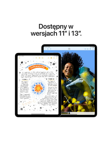 Apple Ipad Air 11'' Wi-Fi 128Gb Space Grey (2024)