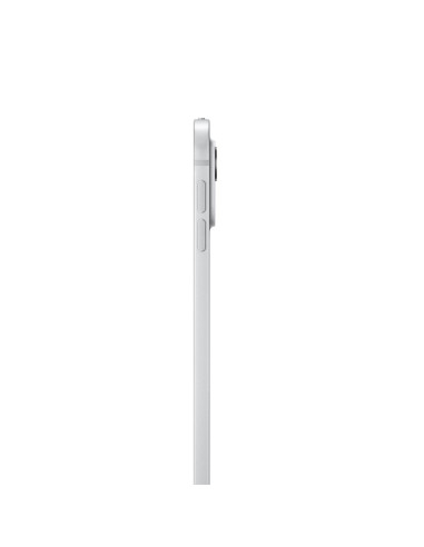 Apple 13-Inch Ipad Pro (M4) Lte 256Gb With Standard Glass - Silver