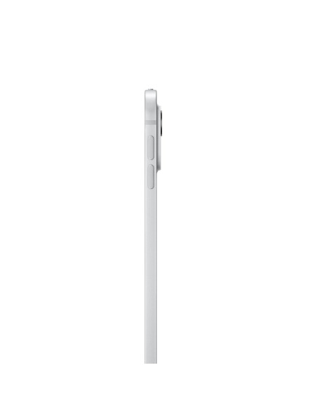 Apple 13-Inch Ipad Pro (M4) Lte 256Gb With Standard Glass - Silver