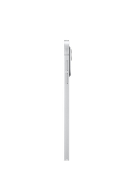 Apple 11-Inch Ipad Pro (M4) Lte 256Gb With Standard Glass - Silver