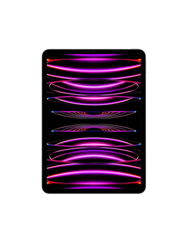 Apple 11-Inch Ipad Pro (4 Gen.) Wi-Fi 2Tb Space Grey
