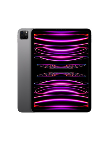 Apple 11-Inch Ipad Pro (4 Gen.) Wi-Fi 2Tb Space Grey