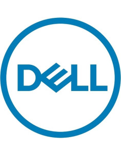 Dell 480Gb Ssd Sata Read Intensive Ise 6Gbps 512E 2.5Inch With 3.5Inch Bracket Cabled Customer Kit For Pet150