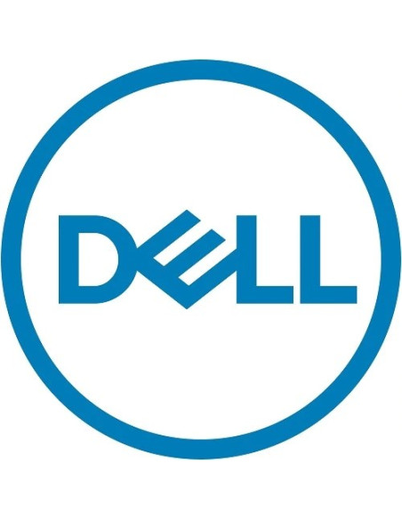 Dell 480Gb Ssd Sata Read Intensive Ise 6Gbps 512E 2.5Inch With 3.5Inch Bracket Cabled Customer Kit For Pet150