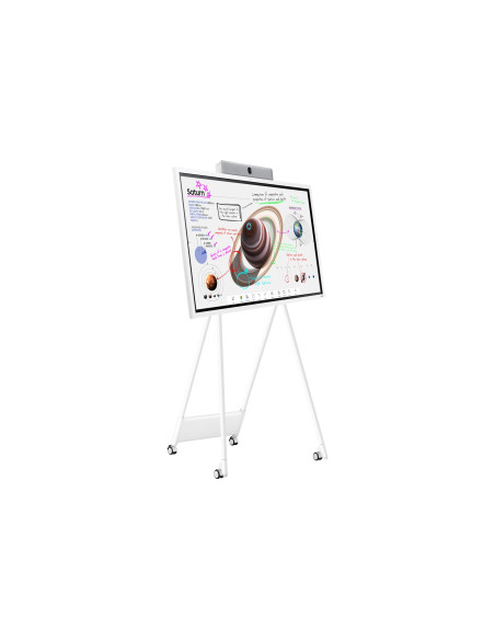 Samsung Flip Pro Digital Flipboard 65" 4K Ir Touch Hdmi Usb-C Usb Lan Wifi Wpa2 Enterprise Bluetooth Tizen 6.5 Soc 2X10W 400X400