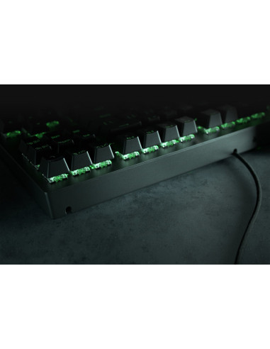 Klawiatura Razer Blackwidow V3 Tenkeyless (Green Switch) - Us Layout