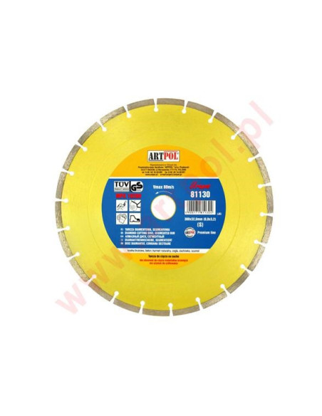 Tarcza D.300Seg-Ar 32/25,4/22,2Mm